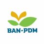 Badan Akreditasi Nasional Pendidikan Anak Usia Dini
