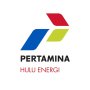 PT Pertamina Hulu Energi (PHE)