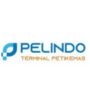 PT Pelindo Terminal Petikemas